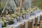 D&M Wedding