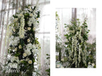 D&M Wedding