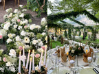 D&M Wedding