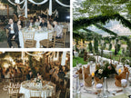 D&M Wedding